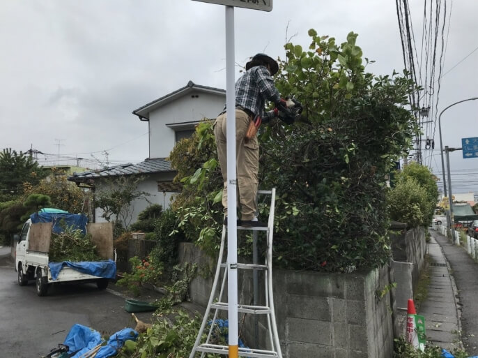 庭の生垣を剪定して欲しい！