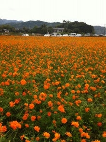 介護のみかたブログ